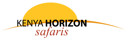 Kenya Horizon Safaris